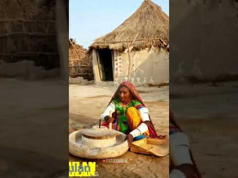 Mehmaan Lyrics | Raitila Rajasthan l lofi song l #trending #shorts #viral #latest
