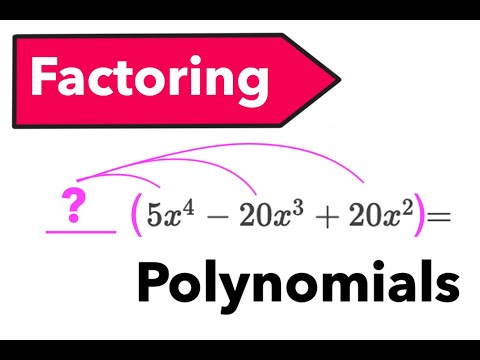 Factoring Polynomials