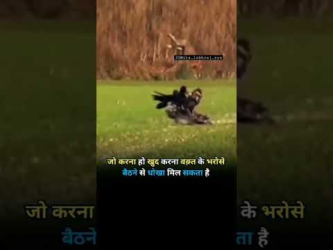 वक्त के भरोसे मत बैठो //Life quotes status/Life motivational speaker/#motivation #lifequotes #shorts