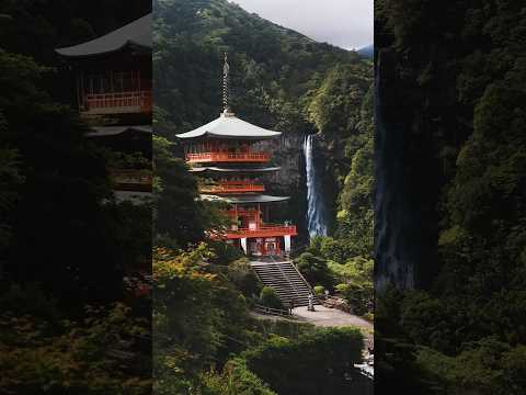 Secret Power of Masking in Lightroom for mobile #lightroom #edit #viraledit