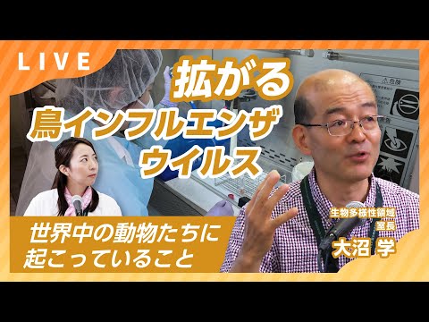 拡がる鳥インフルエンザウイルス-世界中の動物たちに起こっていること-【すごいぞ！生物ニュース2024】