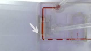 Episode 8 - Removing Bubbles in Microfluidics-Based Diagnostics