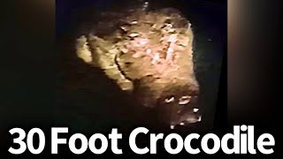 30 Foot Crocodile Seen Again in Philippines 