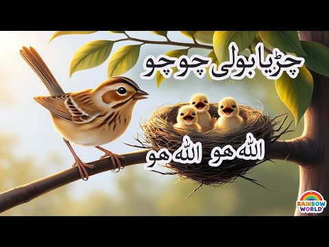 Allahoo Allahoo | Chirya Boli Chu Chu | 3d animation for kids | islamic songs | Allah Hoo Poem