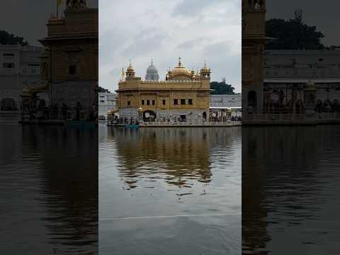 Gurupurab 🙏🏻 #amritsar #goldentemple #ramdasguru #gurudwarasahib #gurupurab #waheguru #shabad