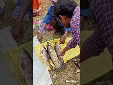 నాయుడుపేట విశేషాలు#చిన్న సమాచారం మీ కొర