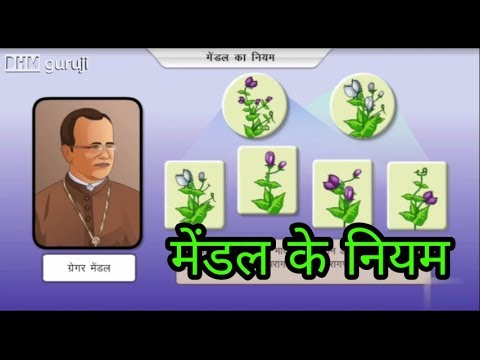 मेंण्डल के नियम एवं आनुवंशिकता क्या है  | what is Heredity and rules of Mendel hindi #genetic #neet