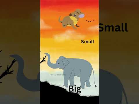 Big and Small | Learn with Fun Examples! #educationalvideos #preschool #chinnaripathasala #kids