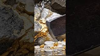 Wow Amazing 😱 gold quartz solid natural stone surface #gold #goldrush #goldmining #shorts #quartz