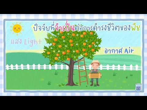 EP 10 การตอบสนองต่อสิ่งเร้า