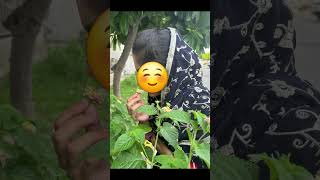 ❤️❤️#haryanvivideos #haryanvisong #haryanvireels #trending #trendingreels #trendingshorts