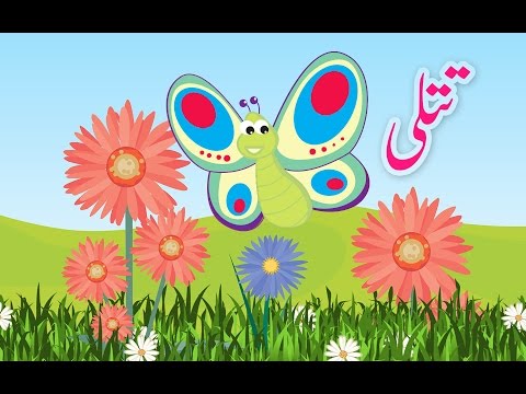 Titli (Urdu Poem) | (تتلی (اردو نظم