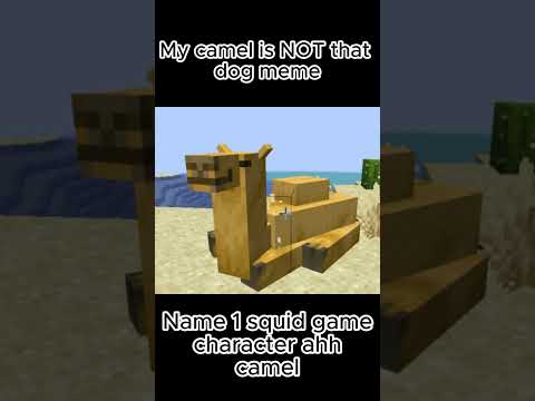 my camel is NOT him