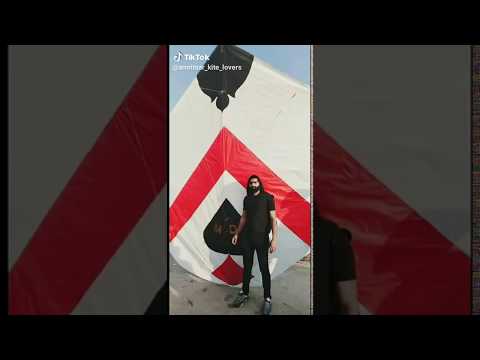 Biggest kite ever | Kite flying in Amritsar (Punjab) | #Lohri2019 |How to fly big kite
