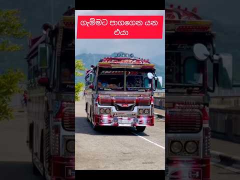 Subscribe 500 උදාවු #srilanka #automobile #busconductor #slmix #japanlamissi #1million #shorts #sl