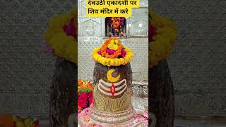 1 नवम्बर शनिवार देवउठी एकादशी को शिव मंदिर में करे #aajkaekadashi #putradaekadashikikatha #facts #om