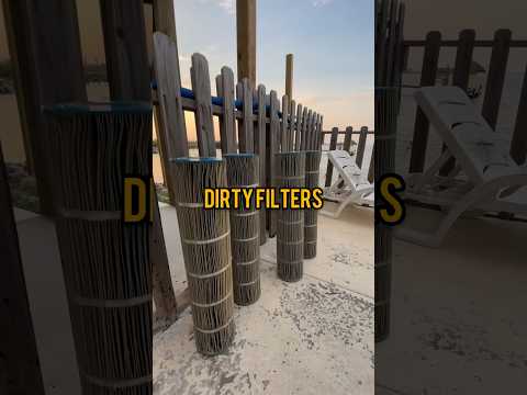 From Dirty to Brand New!#pool #dirty#shorts