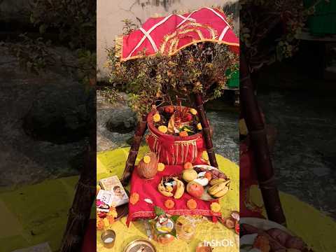 Jinke ghar par tulsi ka paudha hai#jarur sune #shreya video#