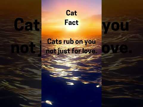 Facts you need to know!