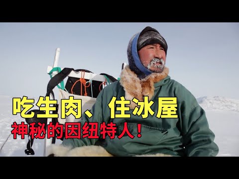 因紐特人究竟有多猛？住冰屋吃生肉，北極熊和海豹都是他們的獵物