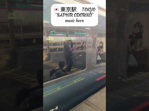 🇯🇵 日本　東京駅　サフィール踊り子発車　　ミュージックホーン　TOKYO JAPAN 【4K】　#train  #鉄道