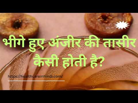 भीगे हुए अंजीर की तासीर कैसी होती है? | Bheege Anjeer Ki Tasir Kaisi Hoti Hai?