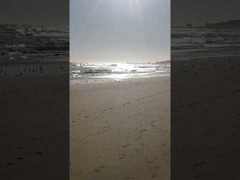 El tabo - tabito #playa #eltabo #nature