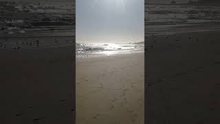 El tabo - tabito #playa #eltabo #nature