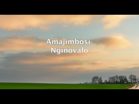 Amajimbosi - Nginovalo (Official Lyric Video)