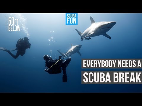 This is the reason why learn to scuba dive! | Why we scuba dive!