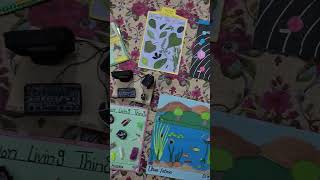 Different Types of School Projects #sarahdiycrafts #schoolassignment