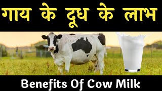 रोज गाय का दूध पीने से क्या होता है ! Benefits of Cow Milk Hindi ! Gay ke Dudh ke fayde