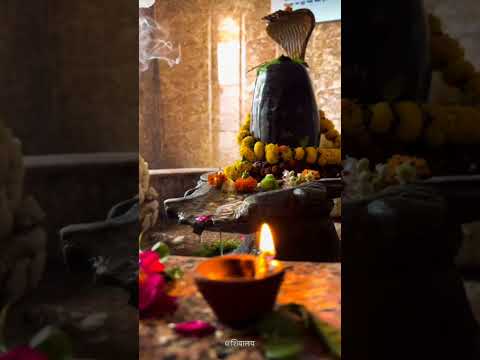 Baba Bholenath | #shiv #mahadev #shivmahapuran #shorts #viral #astrology #trending #tamil #ytshorts