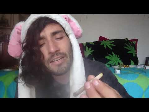 Cata semillas nortinas chilenas #420 #weed