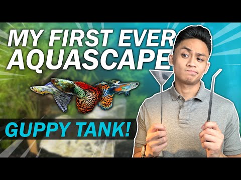 AQUASCAPING the 10 Gallon GUPPY TANK with Cobalt Aquatic SNOWFLAKE ROCK