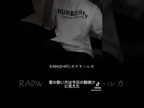 RADWIMPS/カナタハルカ #歌ってみた #radwimps #すずめの戸締まり #カナタハルカ #おすすめにのりたい