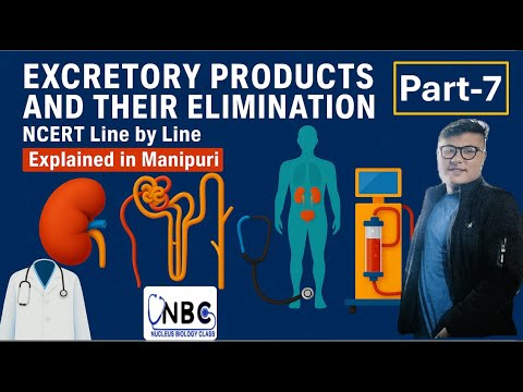 Excretory Products and their Elimination || Part-7 || Online NEET UG Foundation Course #ncert #neet
