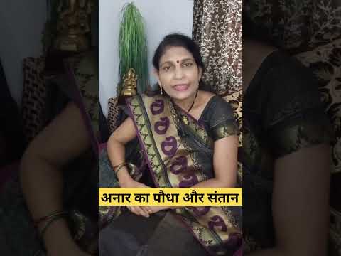 अनार का पौधा और संतान। #astrology #mantrajyotish #mantraupchar