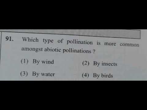 📚 “Practice makes perfect 💯 – Here’s your next NEET MCQ from Sexual Reproduction in Flowering Plants