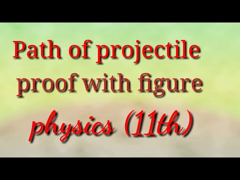 Physics11th(projectile path)