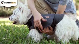 2023 Thundershirt Calming 6s - No Logo