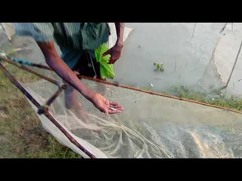 Catching fish in a river #Travel Time #Catching fish BD #FishCatchBD #ImransITZone#imranIT#fishBD