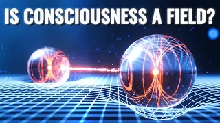Quantum Entanglement: Is Consciousness a Field?