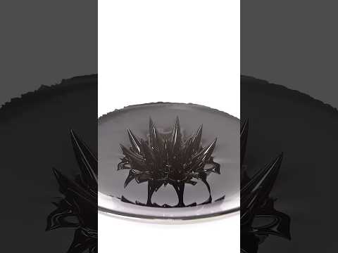 Ferrofluid is crazy