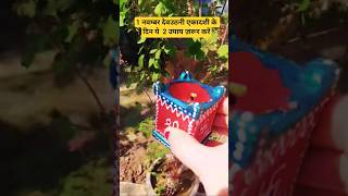 1 नवम्बर देवउठनी एकादशी के दिन ये  2 उपाय ज़रूर करें🙏🙏#shortvideo #facts #trending #shorts