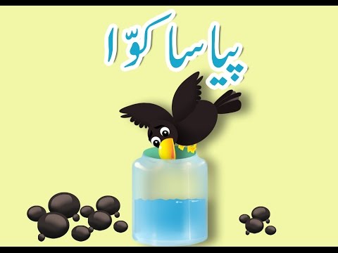 Piyasa Kawwa (Urdu Kahani)