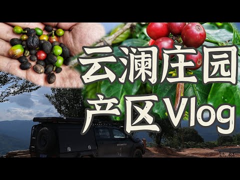 西雙版納咖啡莊園之旅！| 雲南雲瀾莊園產區之行Vlog！| 摸豆人咖啡研究所