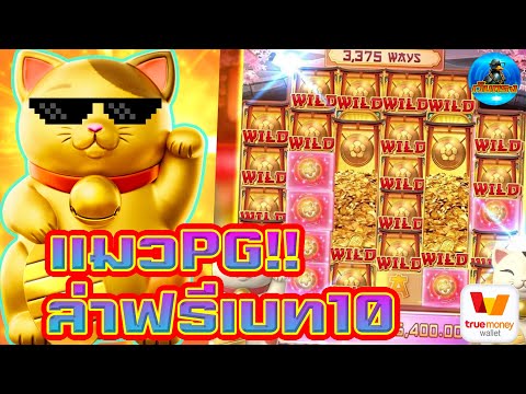 แมวPG!! ล่าฟรีเบท10
