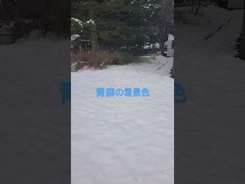 青森雪やばい