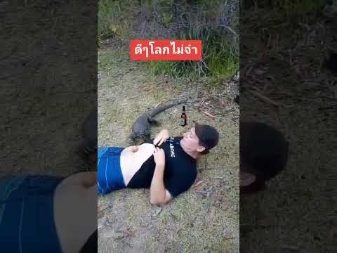 สัตว์โลกน่ารัก...เครดิตฟรีใต้เม้นต์